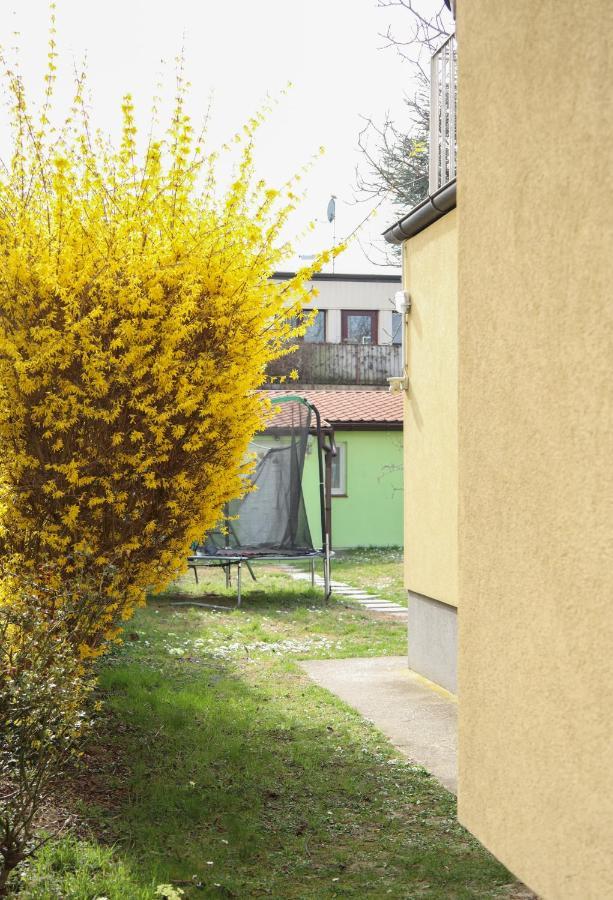Small-Comfy Guest House In Donaustadt Garden - Not Shared! Vienna Exterior photo